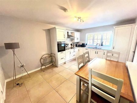 12 Ballyblaugh Meadows, Newry, BT34 1FE - Photo 4