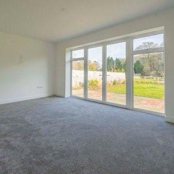 3 bedroom bungalow to rent - Photo 1
