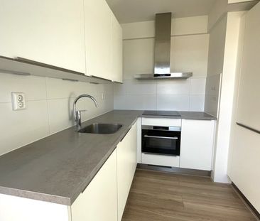 TE HUUR Grienderwaard - Photo 1