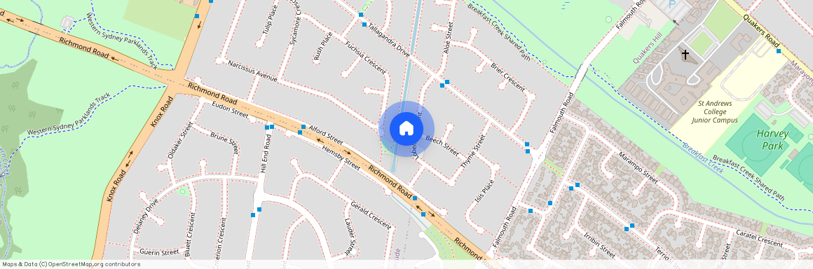 19 Lobelia Crescent, NSW 2763, Quakers Hill