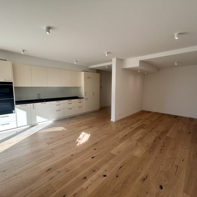 Situation unique - 1.5 pièces NEUF ! - Foto 1