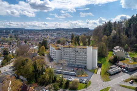 Wunderschöne Aussicht auf die Stadt Aarau - Foto 5