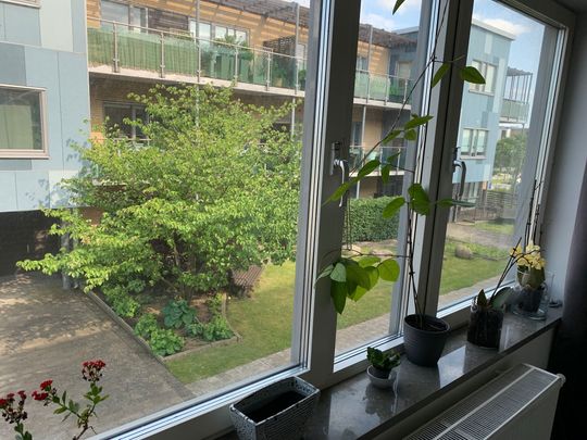 Skräddarebyn, Bunkeflostrand - Foto 1