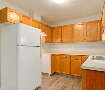 Renovated Suite - 2 Bedroom - Photo 1