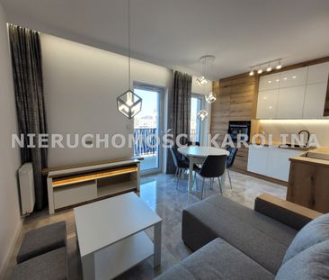 Zamość, Piła - Photo 3