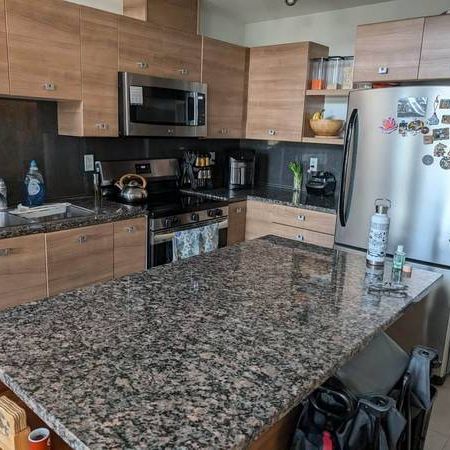 PROMOTION RESIDE - LOFT 2 BEDS + 2 BATHS + 1 PARKING IN SURREY - Photo 3