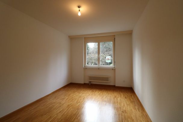 An ruhiger Lage in Reinach - grosszügige 4 1/2-Zimmerwohnung im Hochparterre - Photo 1