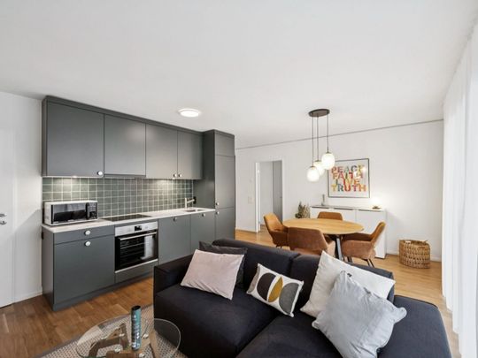 Design apartments in the Lisbon style Directly at the Muttenz train station - Photo 1