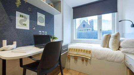 Classic Studio Plus - Photo 3