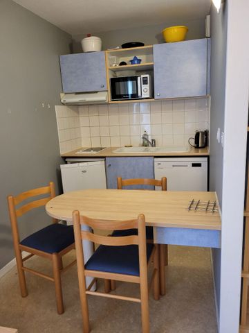 Location Appartement 1 pièce 24m² - Photo 3