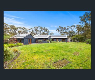 Peaceful Family Haven in a Picturesque Bush Setting - Photo 4