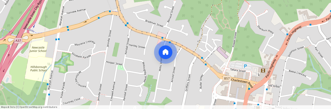 8a Willis St, NSW 2290, Charlestown