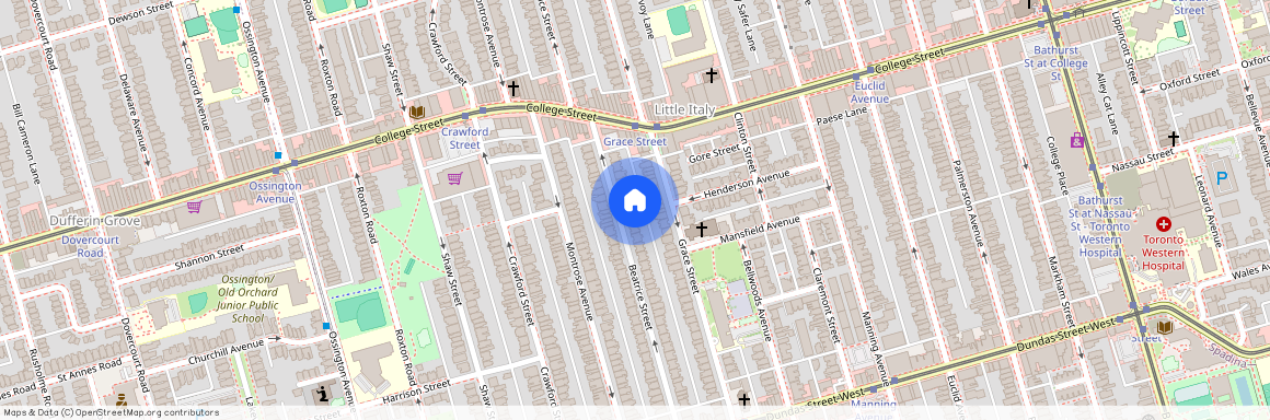 127 Beatrice Street Unit# Bsmnt, Toronto