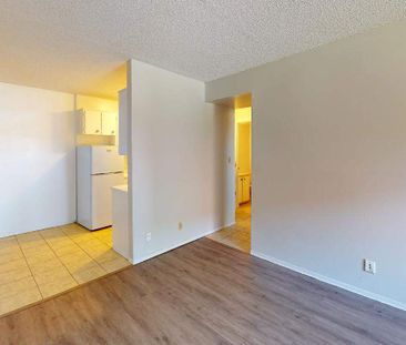 One Bedroom Apartment - Photo 3