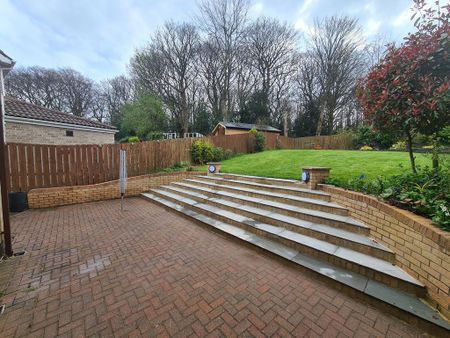 3 bedroom semi-detached house to rent - Photo 4