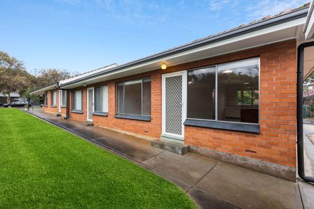 5/45 Maesbury St, Kensington SA 5068 - House For Rent | Domain - Photo 4