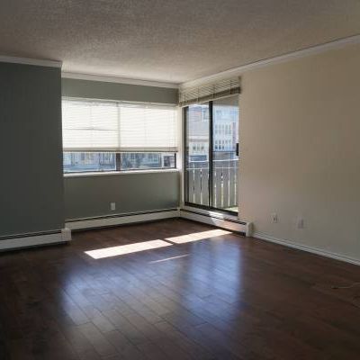 one bedroom apartment for rent in Dunbar area - Photo 3