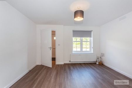 Pumpkin close - Photo 3