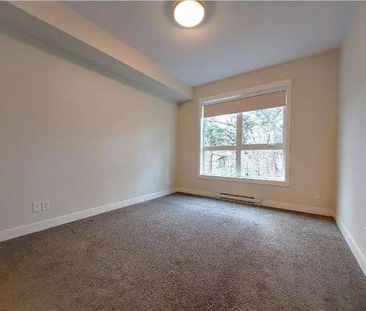 2 bedroom 2 bath for rent - $2525 - Photo 2