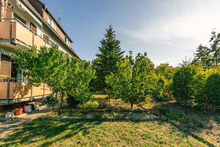 3-Zimmer-Wohnung in Weisenheim am Sand - Photo 5