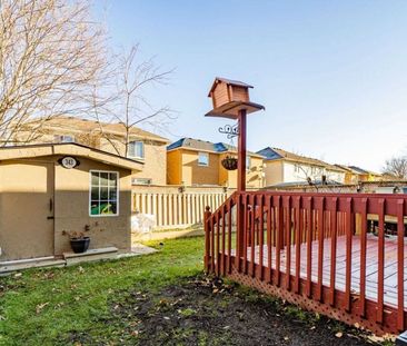 For Lease - 343 Edenbrook Hill Drive, Brampton, Ontario - Photo 3