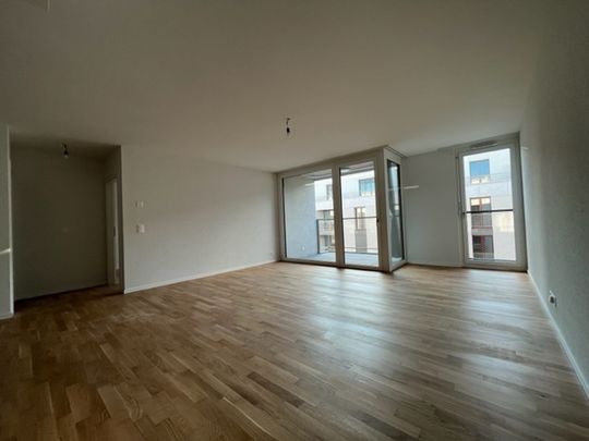 LE TICLE : Appartements neufs à louer - Photo 1