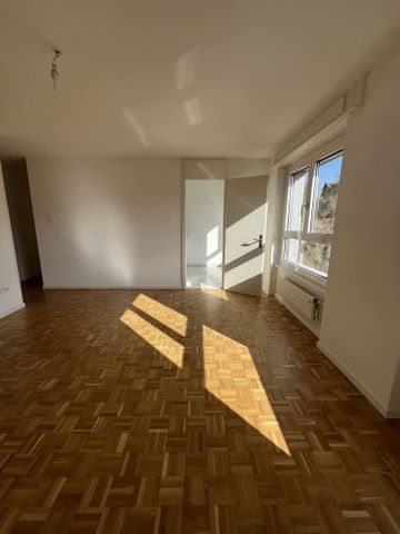 2 Zimmer, 50 m², 3. Stock - Foto 2