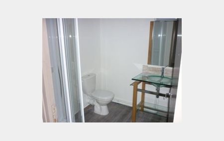 Location Appartement P1 Chevalier 4 Mende - Photo 4