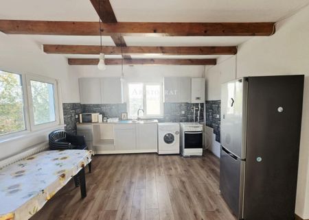 Inchirieri Case / Vile Corbeanca - Fotografie 4