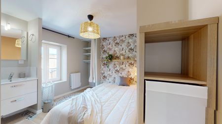 SAINTE CLAIRE S Roommate 3 Bedrooms at Clermont Ferrand - Photo 3