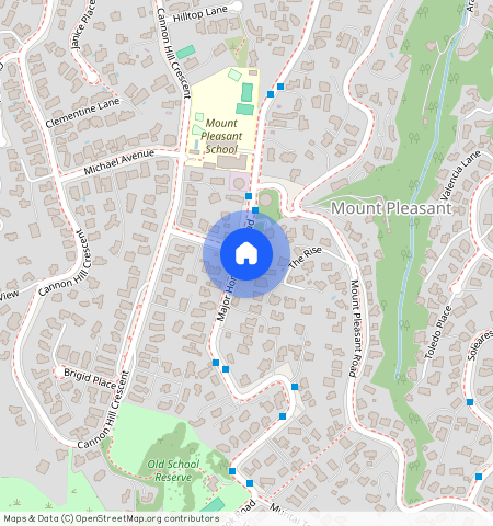 99 Major Hornbrook St, Mt Pleasant