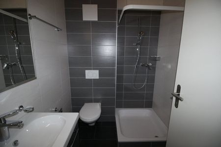 4.5 Zimmer, 110 m², 2. Stock - Foto 2