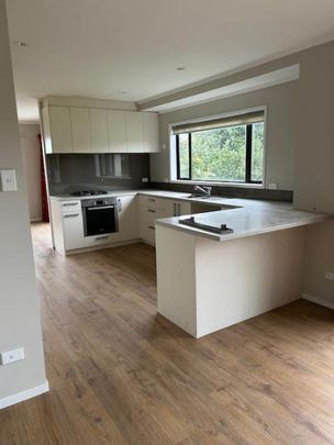 Spacious semi rural home in Matakana school zone - Photo 1