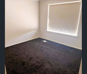 When you want all the space! - Photo 3