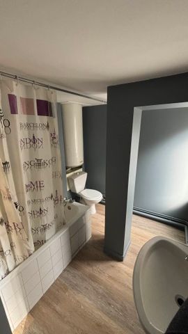Grand T2 de 42 m² – Rue François Perrin – LIMOGES - Photo 4