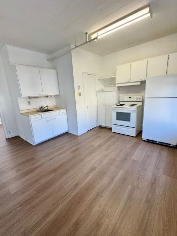 For Lease - 17 Mill Street Unit# Unit A, Halton Hills, Ontario - Photo 5