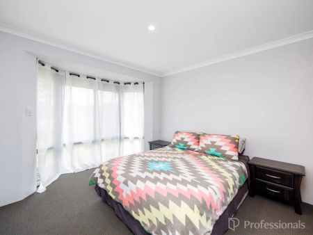 “Quinns Charmer !” - Photo 4