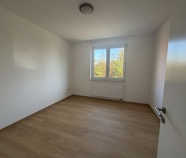 Wohnen am Museumsgarten: 2-Zimmer Wohnung mit großer Loggia - Photo 3
