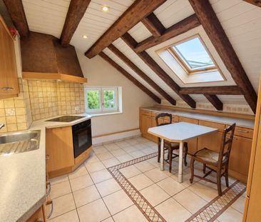 BEAUTIFUL CHARMING 4-ROOM APARTMENT WITH A VIEW OF THE SALÈVE - Photo 1
