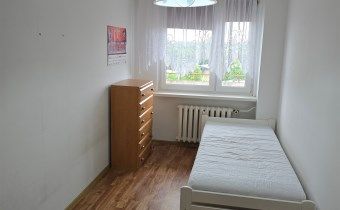 Piła, Śródmieście - Zdjęcie 3