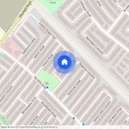 21 Iceland Poppy Trail Unit# Basement, Brampton