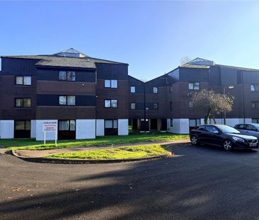 Studio to rent - Photo 6