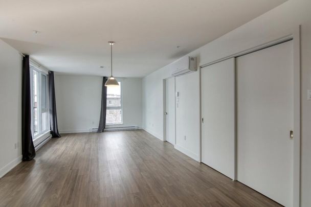 9675 Av. Papineau, app.321, H2B 3C8, H2B 3C8, Montréal - Photo 1