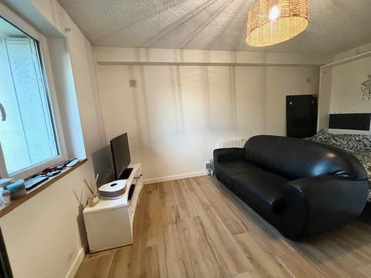 Location Appartement 1 pièce 32m² COULOMMIERS 77120 - Photo 1