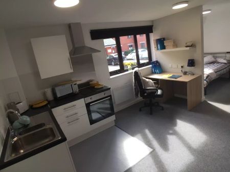 Standard Ensuite Rooms- Attic (Halls E) - Photo 4