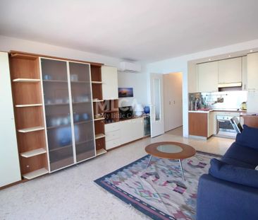 ANTIBES SALIS - REF 1P MAU - Photo 2