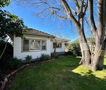 Spacious Home in a Convenient Blackburn South Location - Photo 5