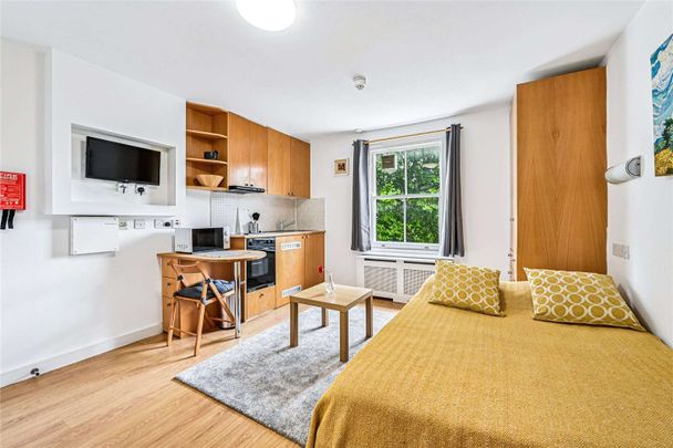 Bright studio in Earl's Court with shared garden - Photo 1