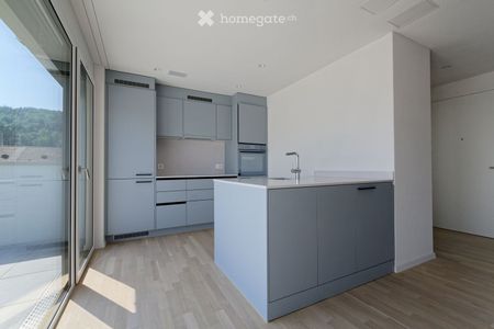 Attika mit direktem Liftzugang – 3.5 Zimmer über den Dächern von Zürich-Nord - Photo 3