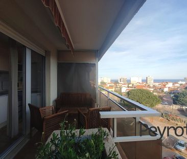 Location Appartement 1 pièce 19m² CANET EN ROUSSILLON 66140 - Photo 5